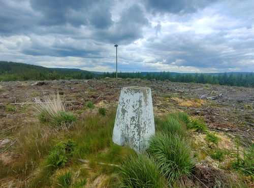 Wind Hill Trig Point